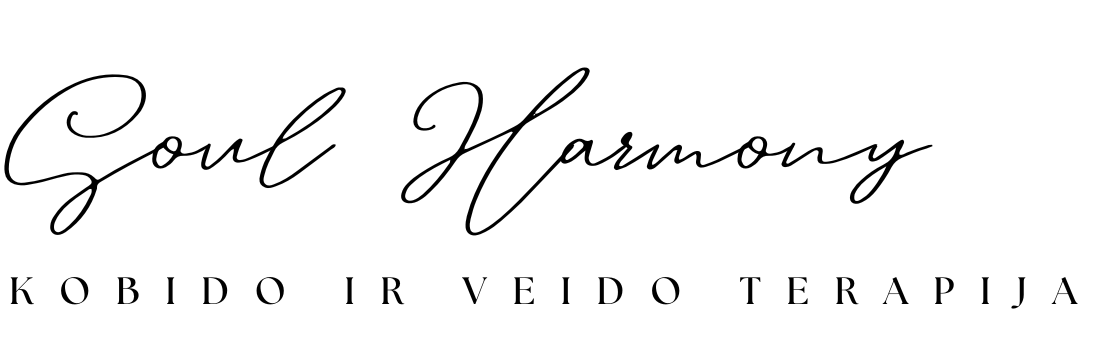 Soul Harmony logo
